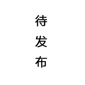 旗舰款